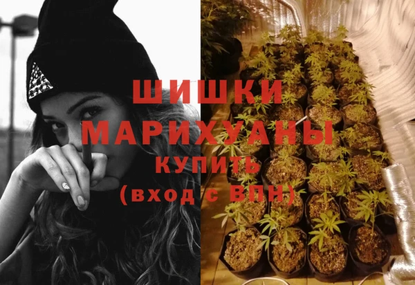 сатива Абдулино