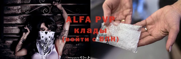 стаф Абинск